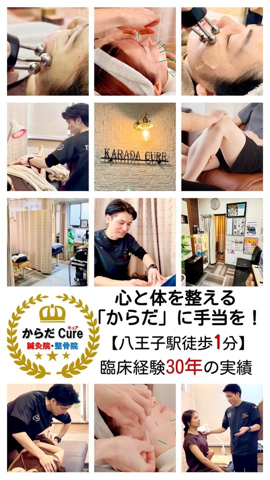 DVD セラピスト 治療家のの資産形成術 pcc 整体カイロ鍼灸 DVD